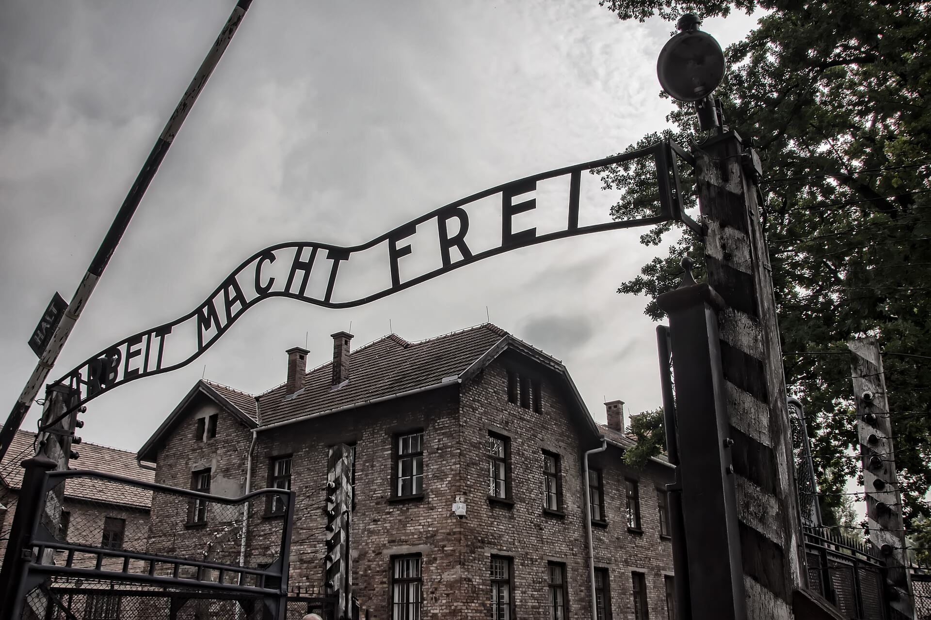 A sign that says " auschwitz free ".